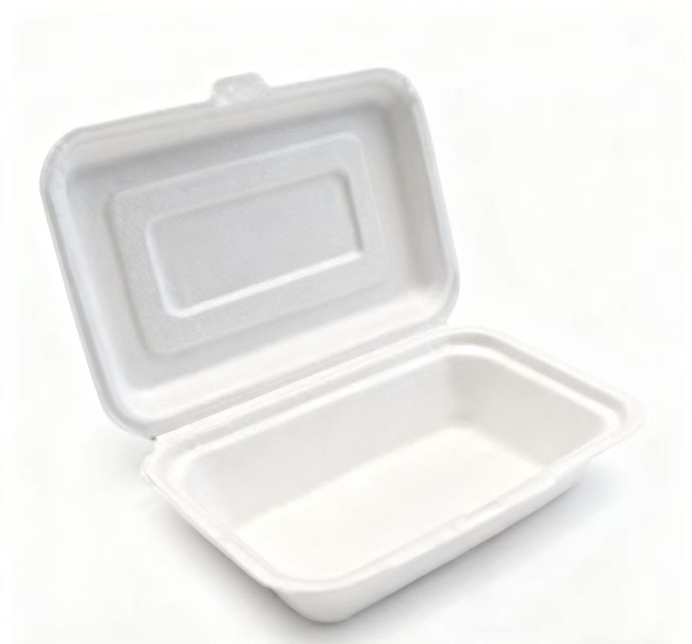 Biodegradable flip-top lunch box